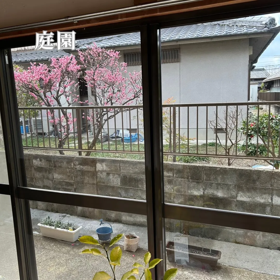 ♡大阪府八尾市介護付きルームシェアハウス情報♡